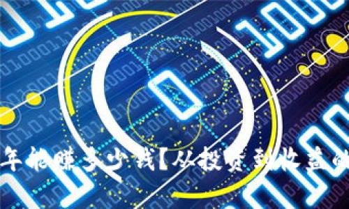 TP钱包一年能赚多少钱？从投资到收益的全面解析