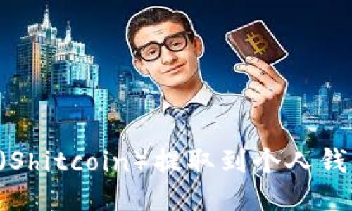 如何将屎币(Shitcoin)提取到个人钱包:详尽指南