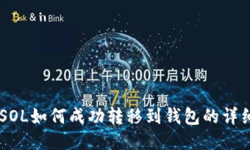 币安SOL如何成功转移到钱包的详细指南
