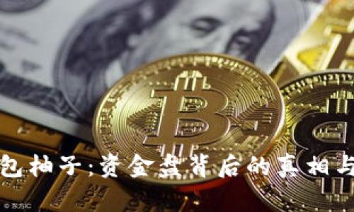 tp钱包柚子：资金盘背后的真相与分析