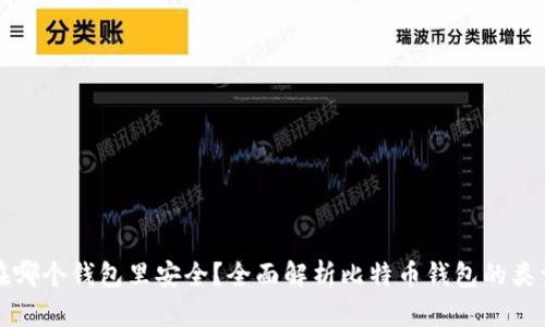 比特币存在哪个钱包里安全？全面解析比特币钱包的类型与安全性
