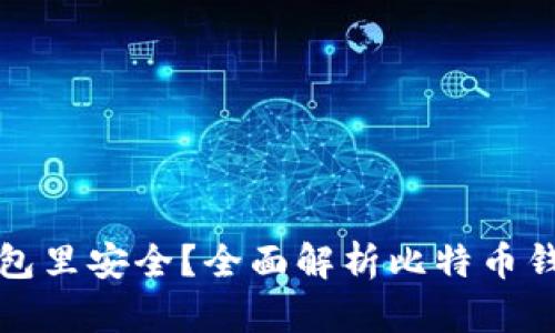 比特币存在哪个钱包里安全？全面解析比特币钱包的类型与安全性