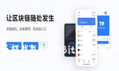 深入解析比特币轻钱包MultiBit：安全性、功能与使用指南