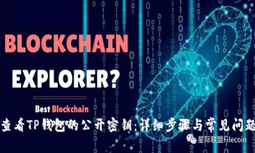 如何查看TP钱包的公开密钥：详细步骤与常见问题解析