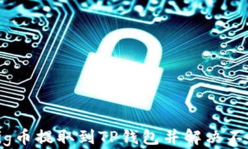 如何将Pig币提取到TP钱包并解决不显示问题