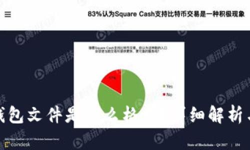 : 比特币钱包文件是什么格式？详细解析与使用指南
