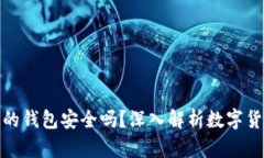 存狗狗币的钱包安全吗？