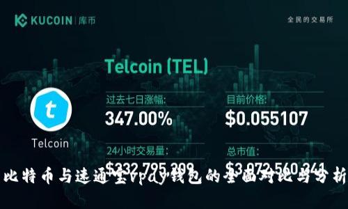 比特币与速通宝vpay钱包的全面对比与分析