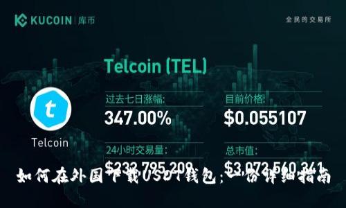 如何在外国下载USDT钱包：一份详细指南