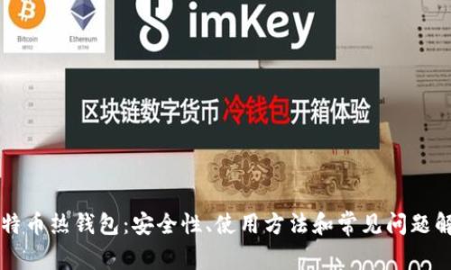 比特币热钱包：安全性、使用方法和常见问题解析