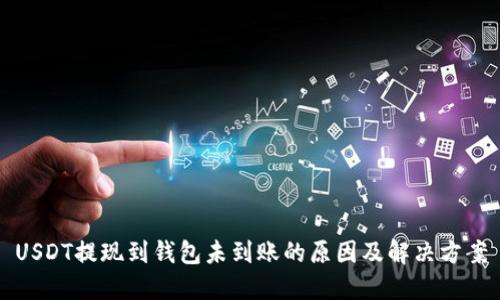 USDT提现到钱包未到账的原因及解决方案
